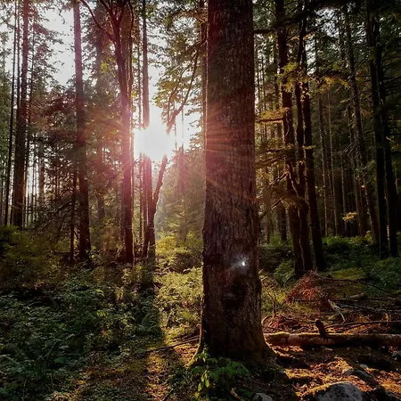 Private Spacious Near Winterberg And Willingen 14 Guests Huge Garden Free Parking For Multiple Cars