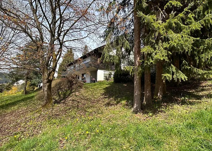 빌라 Private Spacious Near Winterberg And Willingen 14 Guests Huge Garden Free Parking For Multiple Cars