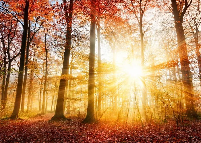 Private Spacious Near Winterberg And Willingen 14 Guests Huge Garden Free Parking For Multiple Cars * Olsberg