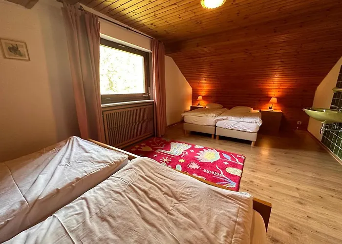Private Spacious Near Winterberg And Willingen 14 Guests Huge Garden Free Parking For Multiple Cars *
