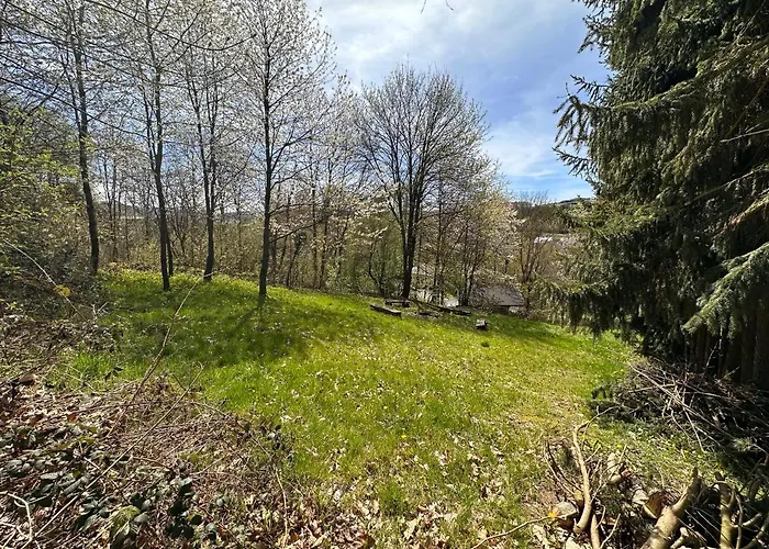 Private Spacious Near Winterberg And Willingen 14 Guests Huge Garden Free Parking For Multiple Cars Olsberg