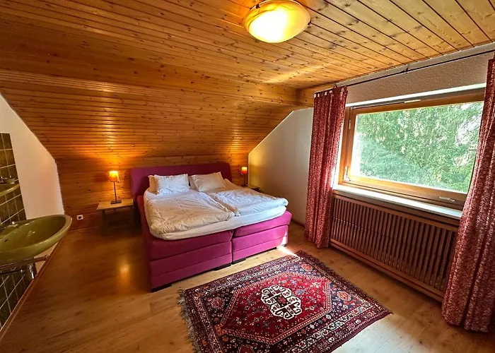 Private Spacious Near Winterberg And Willingen 14 Guests Huge Garden Free Parking For Multiple Cars