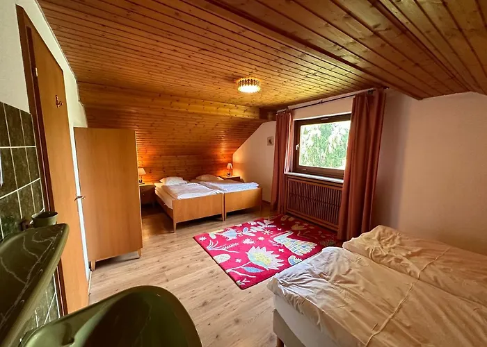 Private Spacious Near Winterberg And Willingen 14 Guests Huge Garden Free Parking For Multiple Cars Olsberg