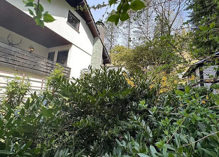 Villa Private Spacious Near Winterberg And Willingen 14 Guests Huge Garden Free Parking For Multiple Cars Olsberg