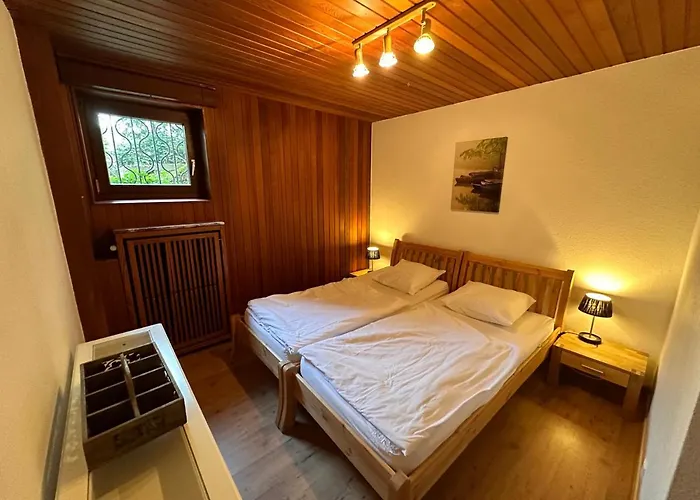 Villa Private Spacious Near Winterberg And Willingen 14 Guests Huge Garden Free Parking For Multiple Cars Olsberg