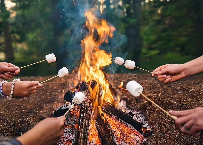 Private Spacious Near Winterberg And Willingen 14 Guests Huge Garden Free Parking For Multiple Cars