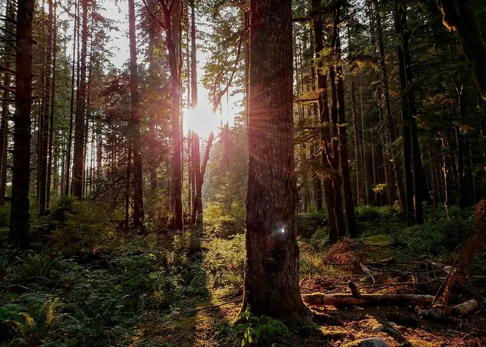 Private Spacious Near Winterberg And Willingen 14 Guests Huge Garden Free Parking For Multiple Cars